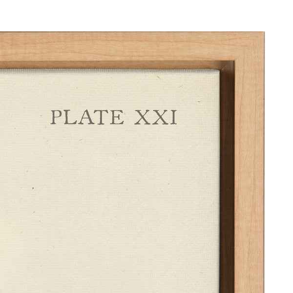 Kate & Laurel Sylvie Ferns Framed Canvas Set By Corinna Buchholz Of Piddix