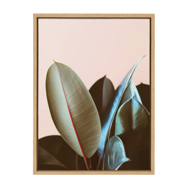 Kate & Laurel Sylvie Ficus Elastica Framed Canvas By Alicia Bock