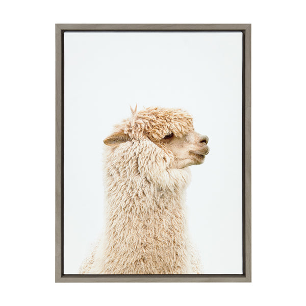 Kate & Laurel Sylvie Golden Alpaca Profile Framed Canvas By Amy Peterson Art Studio
