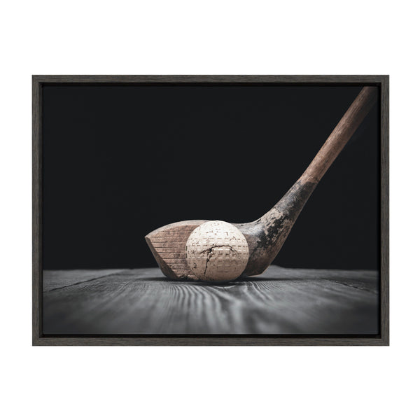kate & laurel Sylvie Golf Club And Ball Framed Canvas by Shawn St. Peter