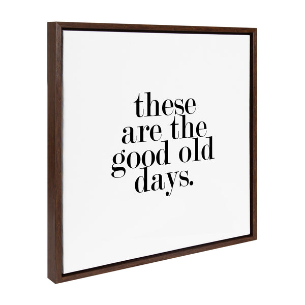Kate & Laurel Sylvie Good Old Days Framed Canvas By Maggie Price Of Hunt And Gather Goods