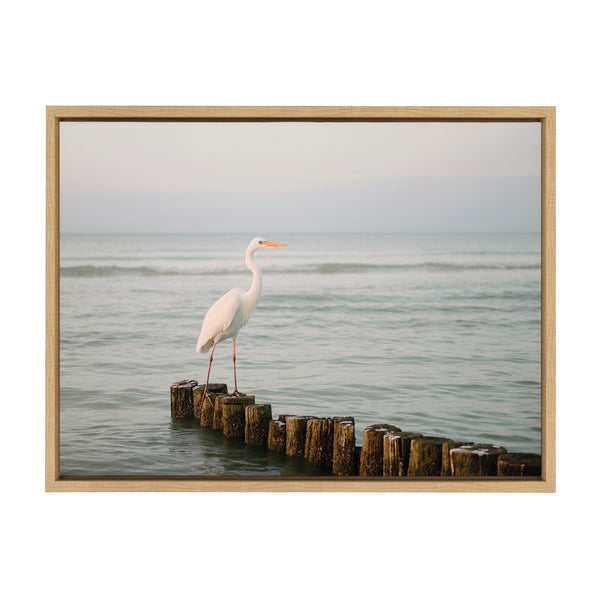 Kate & Laurel Sylvie Great White Heron Isla Holbox Framed Canvas By Crystal Lynn Collins