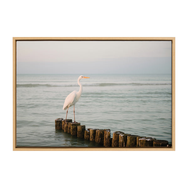 kate & laurel Sylvie Great White Heron Isla Holbox Framed Canvas by Crystal Lynn Collins