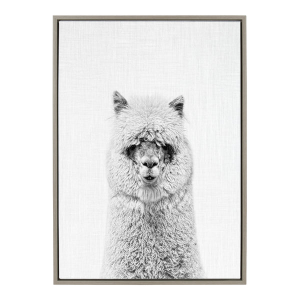 Kate & Laurel Sylvie Hairy Alpaca Framed Canvas By Simon Te Of Tai Prints