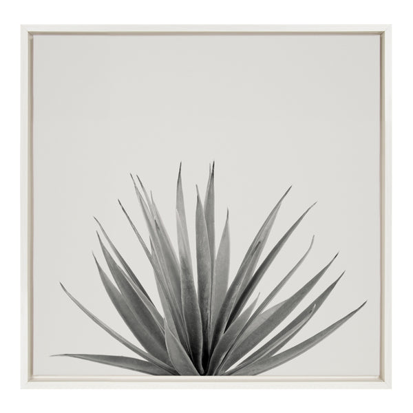 Kate & Laurel Sylvie Haze Agave Succulent Framed Canvas By The Creative Bunch Studio