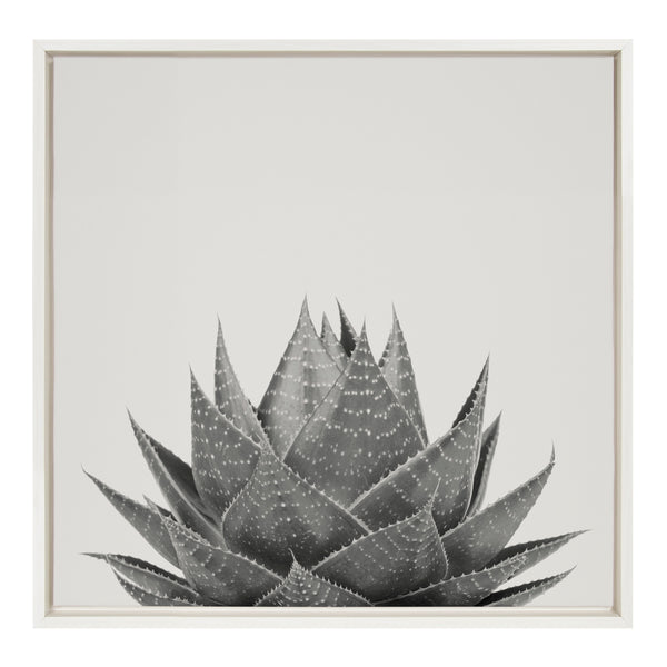 Kate & Laurel Sylvie Haze Aloe Succulent Framed Canvas By The Creative Bunch Studio
