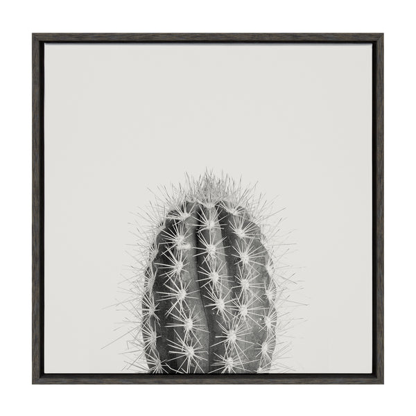 kate & laurel Sylvie Haze Cactus Succulent Tall Framed Canvas by The Creative Bunch Studio