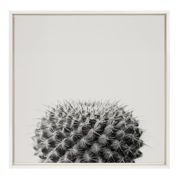 Kate & Laurel Sylvie Haze Succulent Cactus Short Framed Canvas By The Creative Bunch Studio