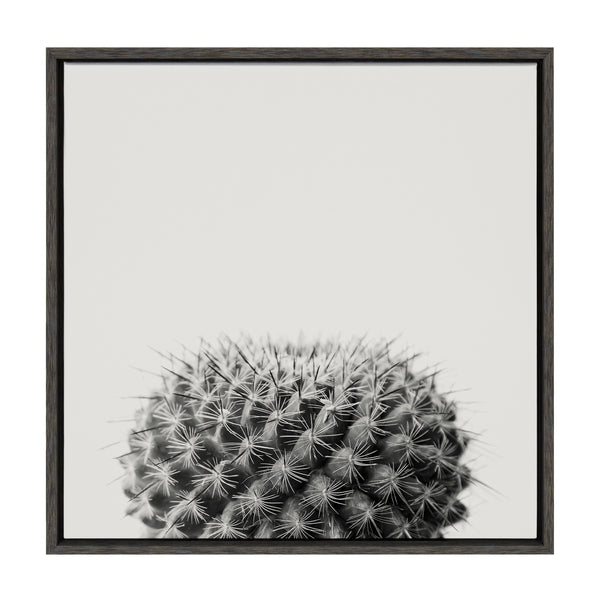 kate & laurel Sylvie Haze Succulent Cactus Short Framed Canvas by The Creative Bunch Studio