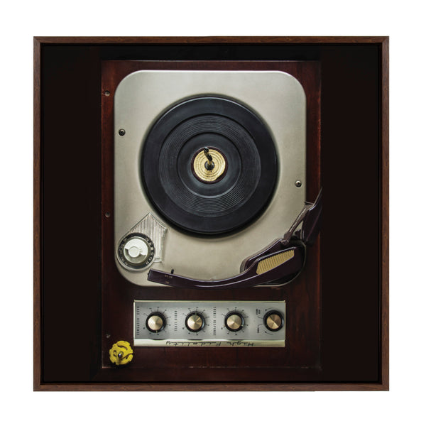 Kate & Laurel Sylvie High Fidelity Framed Canvas By Emiko And Mark Franzen Of F2Images