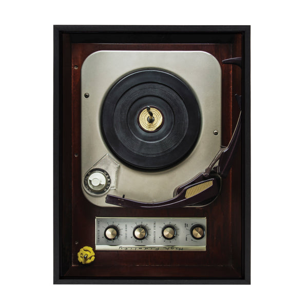 kate & laurel Sylvie High Fidelity Framed Canvas by Emiko and Mark Franzen of F2Images