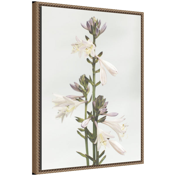 kate & laurel Sylvie Hosta Framed Canvas by Alicia Abla