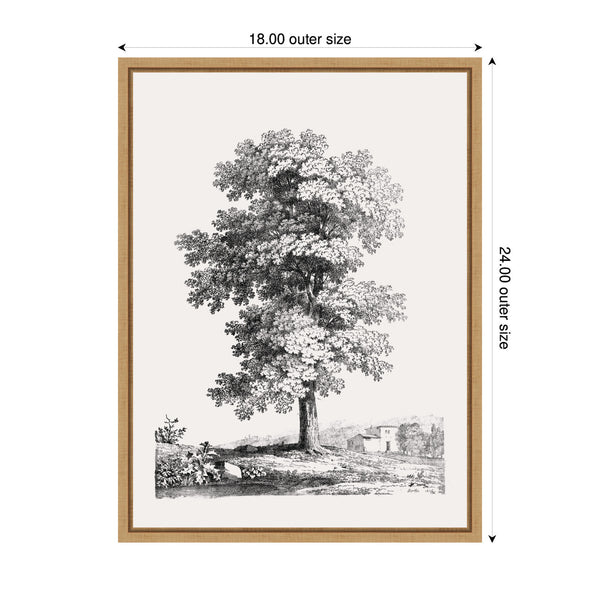Kate & Laurel Sylvie Jean Victor Bertin Study Of A Tree 1816 Framed Canvas By The Art Institute Of Chicago