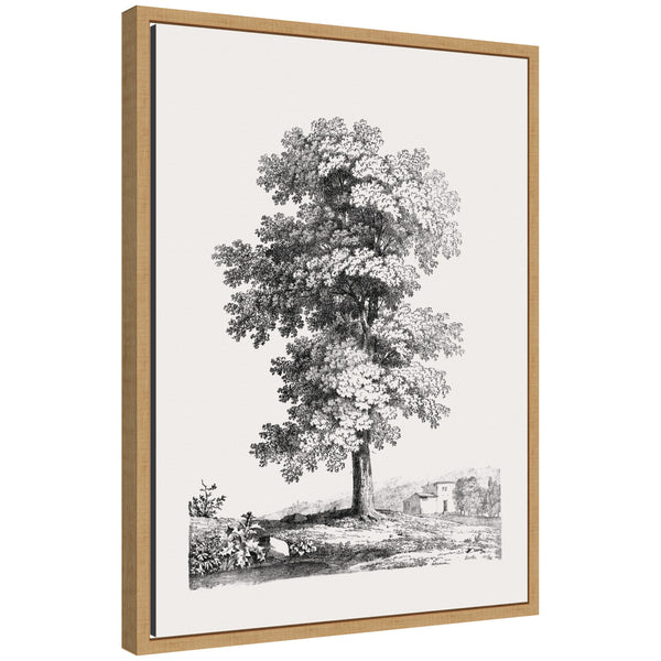 kate & laurel Sylvie Jean Victor Bertin Study of a Tree 1816 Framed Canvas by The Art Institute of Chicago