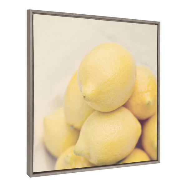 Kate & Laurel Sylvie Lemons Framed Canvas By Emiko And Mark Franzen Of F2Images