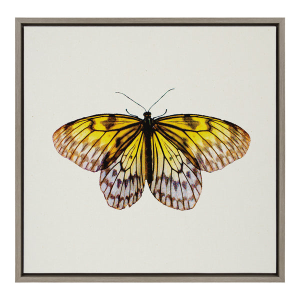 kate & laurel Sylvie Limon Framed Canvas by Robert Cadloff of Bomobob