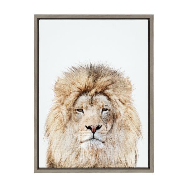 Kate & Laurel Sylvie Lion Stare Portrait Framed Canvas By Amy Peterson Art Studio