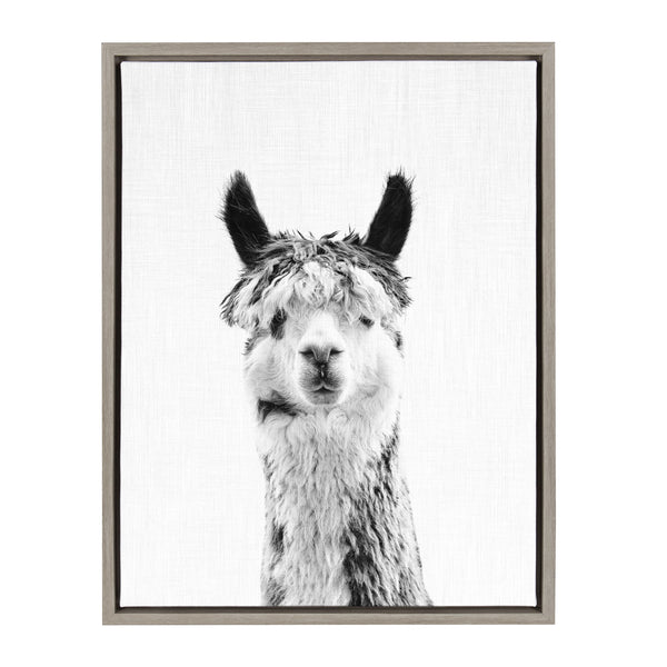kate & laurel Sylvie Llama Framed Canvas by Simon Te Tai