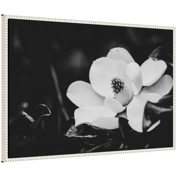 kate & laurel Sylvie Magnolias Framed Canvas by Alicia Abla