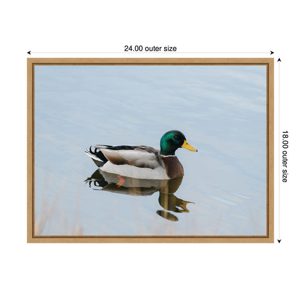 Kate & Laurel Sylvie Mallard Duck Framed Canvas By Crystal Lynn Collins