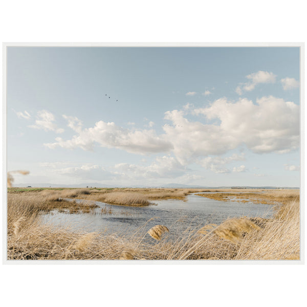 Kate & Laurel Sylvie Marshland Framed Canvas By Crystal Lynn Collins