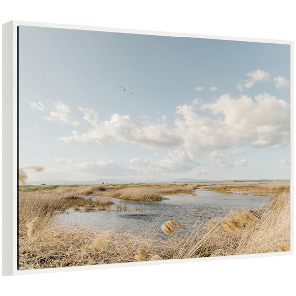 kate & laurel Sylvie Marshland Framed Canvas by Crystal Lynn Collins
