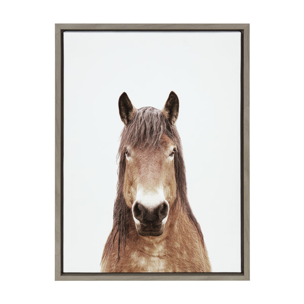 Kate & Laurel Sylvie Meadow Horse Portrait Framed Canvas By Amy Peterson Art Studio