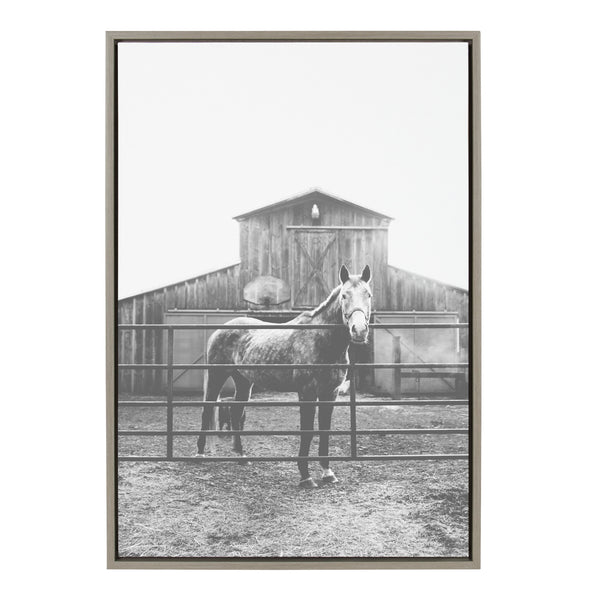 kate & laurel Sylvie Modern Farmhouse Horse Black and White Framed Canvas by Patricia Hasz of Patricia Rae Photography