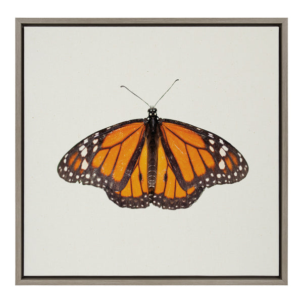 kate & laurel Sylvie Monarch Butterfly Framed Canvas by Robert Cadloff of Bomobob