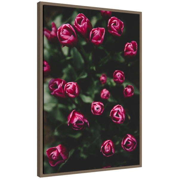 Kate & Laurel Sylvie Moody Dark Pink Tulips In Bloom Framed Canvas By Patricia Hasz Of Patricia Rae Photography