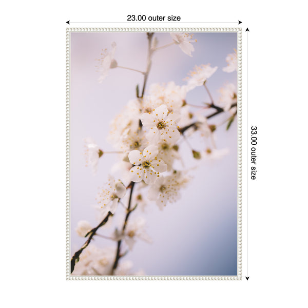 Kate & Laurel Sylvie Nature White Floral Blooms Framed Canvas By Patricia Hasz Of Patricia Rae Photography