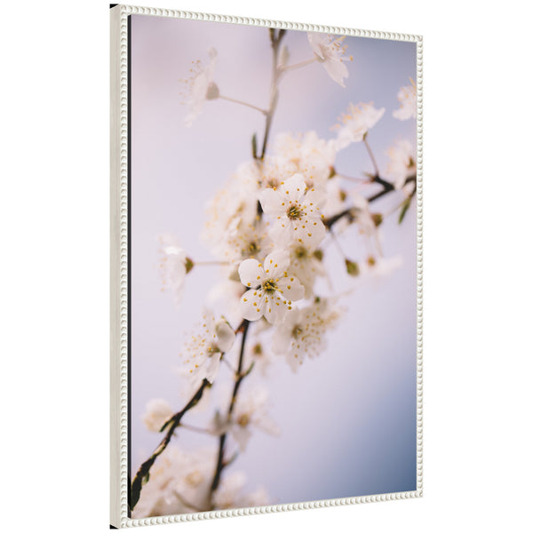 kate & laurel Sylvie Nature White Floral Blooms Framed Canvas by Patricia Hasz of Patricia Rae Photography