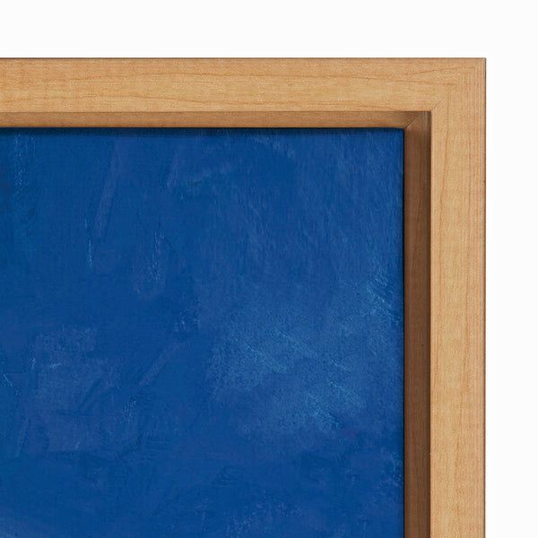 Kate & Laurel Sylvie Night Blooms Framed Canvas By Teju Reval