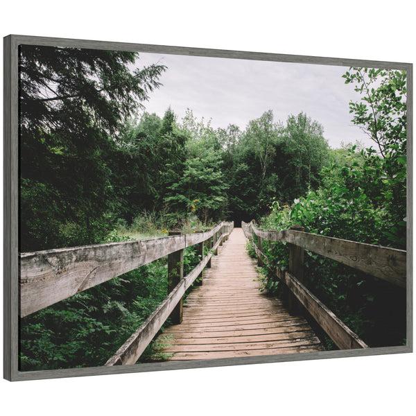 kate & laurel Sylvie Pathway to the Forest Landscape Framed Canvas by Patricia Hasz of Patricia Rae Photography