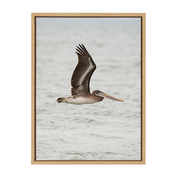 Kate & Laurel Sylvie Pelican No 1 Framed Canvas By Crystal Lynn Collins