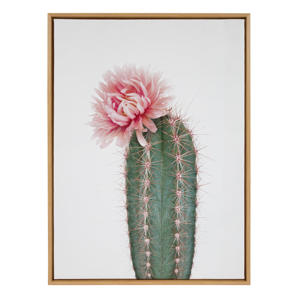 Kate & Laurel Sylvie Pink Cactus Flower Framed Canvas By Amy Peterson Art Studio