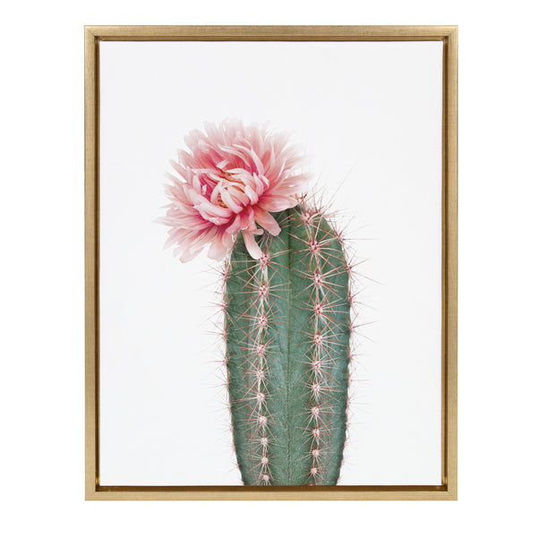 kate & laurel Sylvie Pink Cactus Flower Framed Canvas by Amy Peterson Art Studio