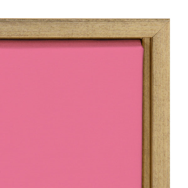 Kate & Laurel Sylvie Pink Girl Power Framed Canvas By Rocket Jack