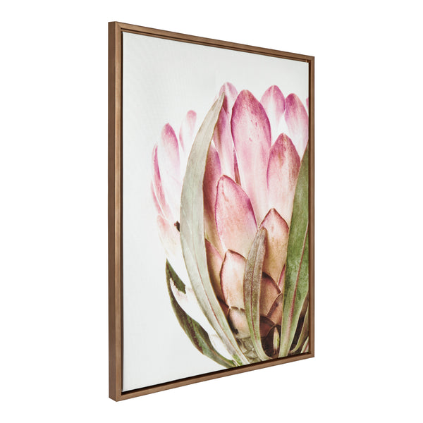 Kate & Laurel Sylvie Pink Protea Flower Framed Canvas By Amy Peterson