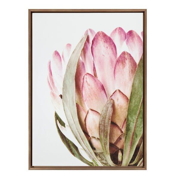 Kate & Laurel Sylvie Pink Protea Flower Framed Canvas By Amy Peterson