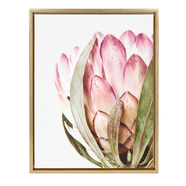 kate & laurel Sylvie Pink Protea Flower Framed Canvas by Amy Peterson kate & laurel Sylvie Pink Protea Flower Framed Canvas by Amy Peterson