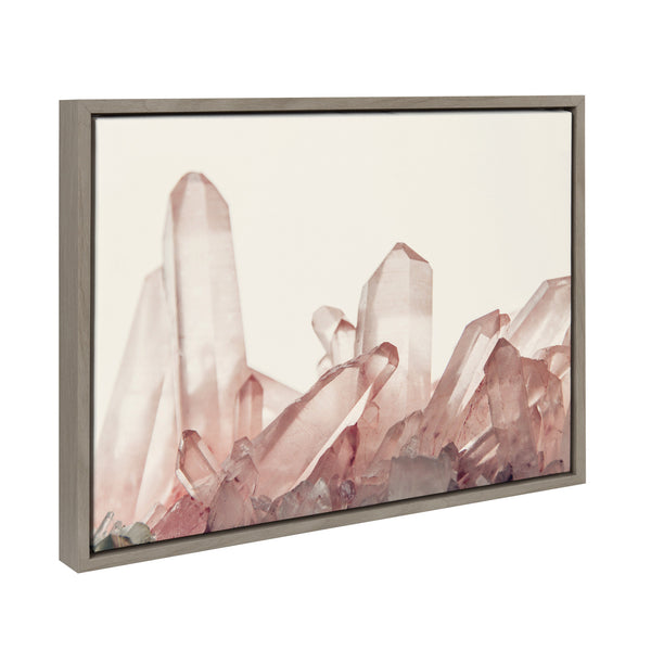 Kate & Laurel Sylvie Pink Quartz Framed Canvas By Emiko And Mark Franzen Of F2Images
