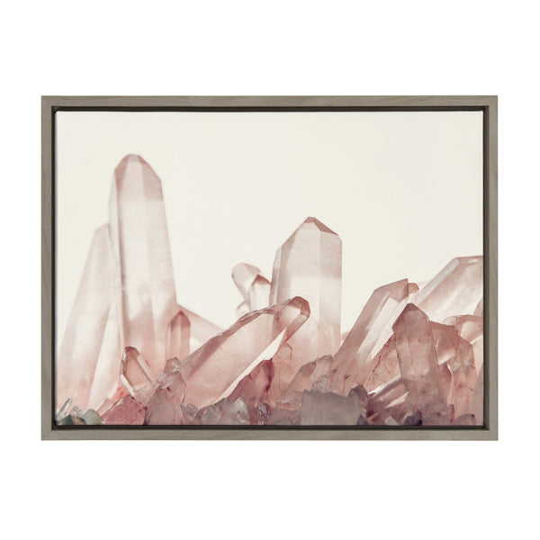 kate & laurel Sylvie Pink Quartz Framed Canvas by Emiko and Mark Franzen of F2Images
