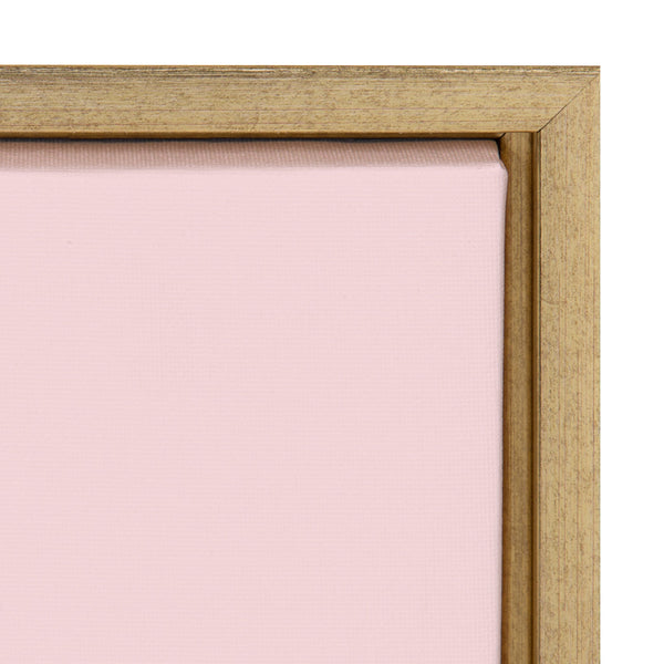 Kate & Laurel Sylvie Pink Zebra Framed Canvas By Dominique Vari