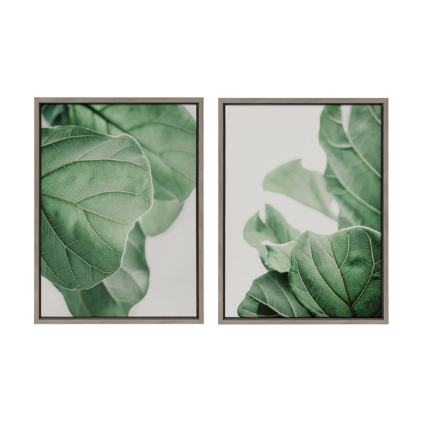 kate & laurel Sylvie Plant Study 6 and Plant Study 7 Framed Canvas Set by Alicia Abla