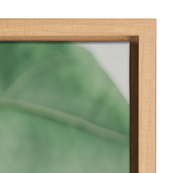 Kate & Laurel Sylvie Plant Study 6 Framed Canvas By Alicia Abla