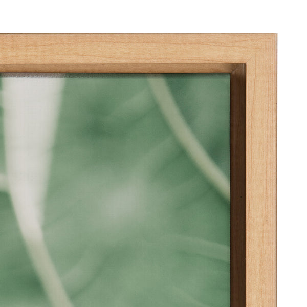 Kate & Laurel Sylvie Plant Study 7 Framed Canvas By Alicia Abla