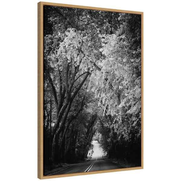 kate & laurel Sylvie Pleasant Valley Road Serene Path Framed Canvas by Emiko and Mark Franzen of F2Images