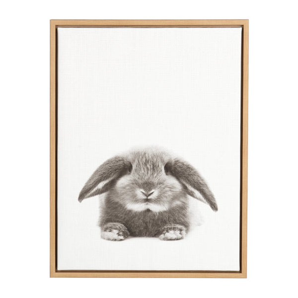 Kate & Laurel Sylvie Rabbit Framed Canvas By Simon Te Of Tai Prints