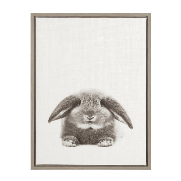 kate & laurel Sylvie Rabbit Framed Canvas by Simon Te of Tai Prints kate & laurel Sylvie Rabbit Framed Canvas by Simon Te of Tai Prints